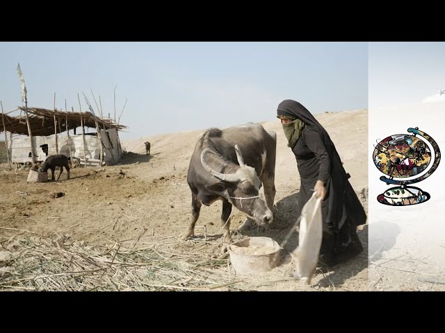 Iraq Struggling with Severe Water Shortages
