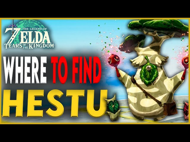 How to Upgrade Inventory Space in Tears of the Kingdom (Hestu Locations)