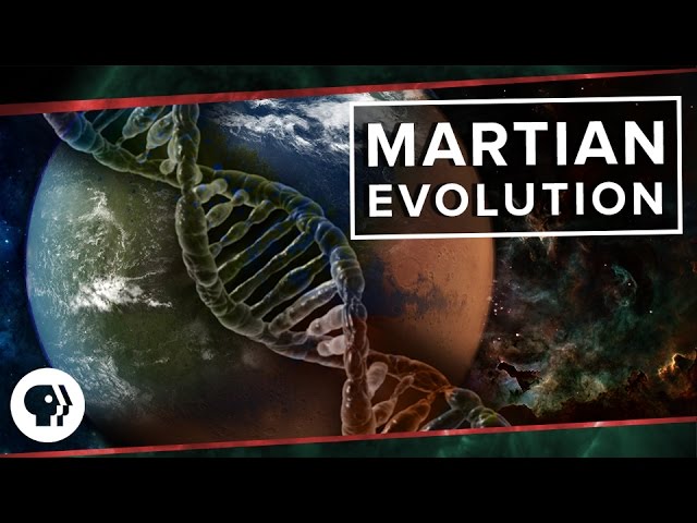 Martian Evolution