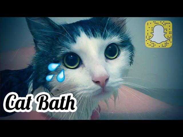 Bath Time with Oskar!
