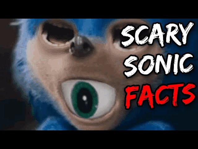 Top 10 Sonic The Hedgehog Character Facts