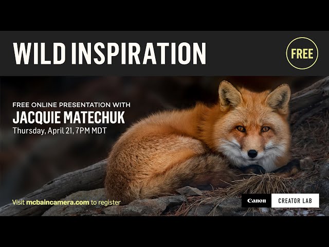 Wild Inspiration with Jacquie Matechuk