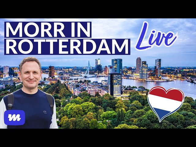 Morr in Rotterdam - Live von meiner Flusskreuzfahrt mit MS Andrea von Phoenix Reisen