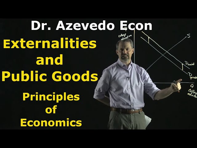Chapters 10 and 11: Externalities and Public Goods