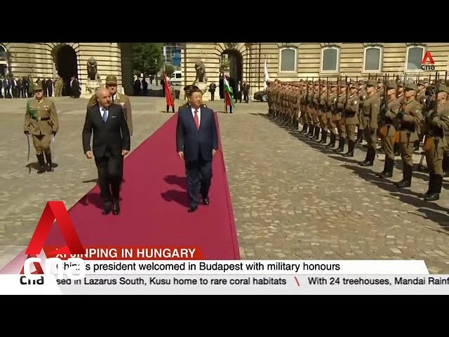 Chinese President Xi looks to jointly elevate ties with Hungary
