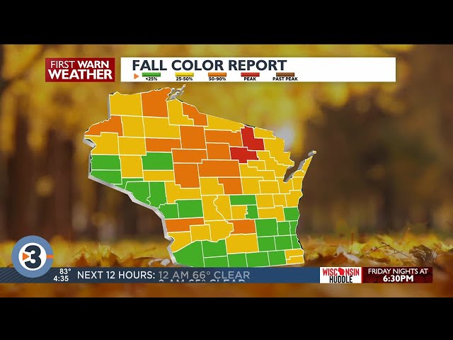 Beyond the Barometer: Fall leaf colors explained