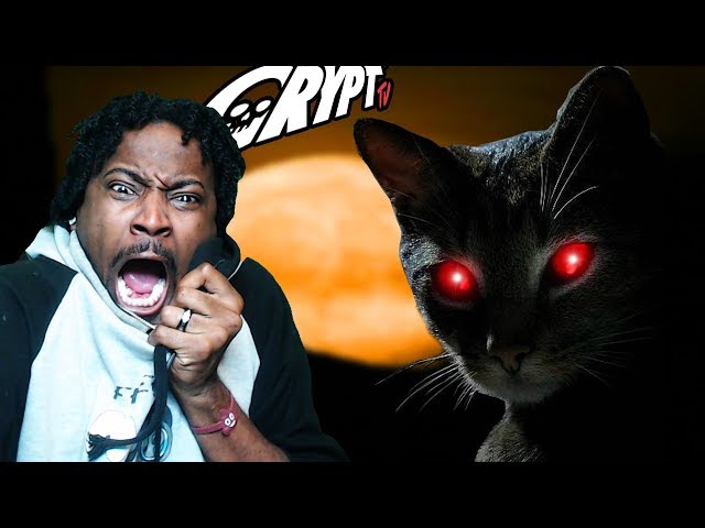 MOVIE NIGHT #22 | WARNING CAT LOVERS |  Crypt TV REACTION