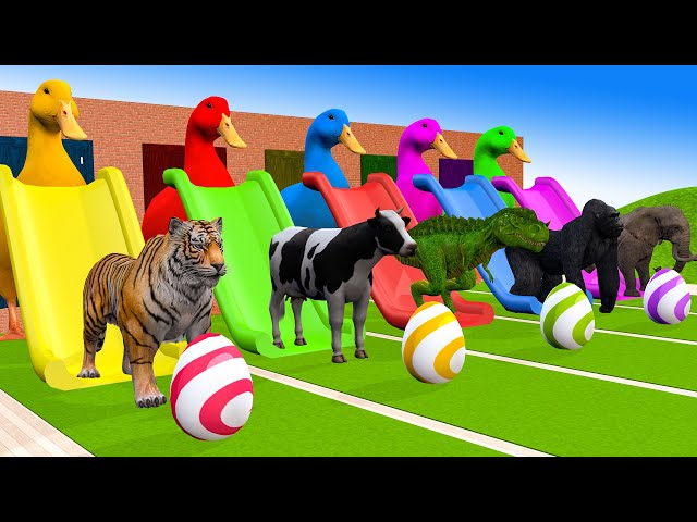 4 Giant Ducks Gorilla Cows Tigers Lions Elephant Fountain Crossing Animal Transforms Paint Animals