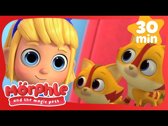 Two of a Kind! | Morphle and the Magic Pets | Available on Disney+ and Disney Jr #morphle
