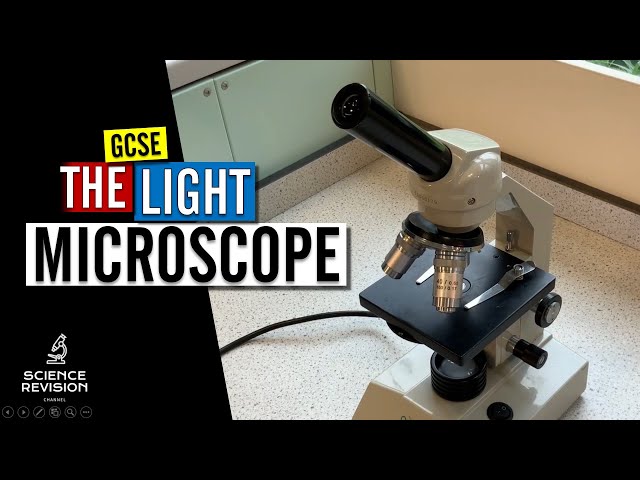 GCSE Science Biology (9-1) -  How to use a microscope - Microscopy Required Practical