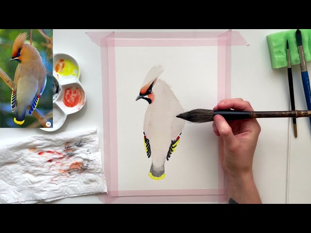 How I paint birds in watercolor - my step-by-step process