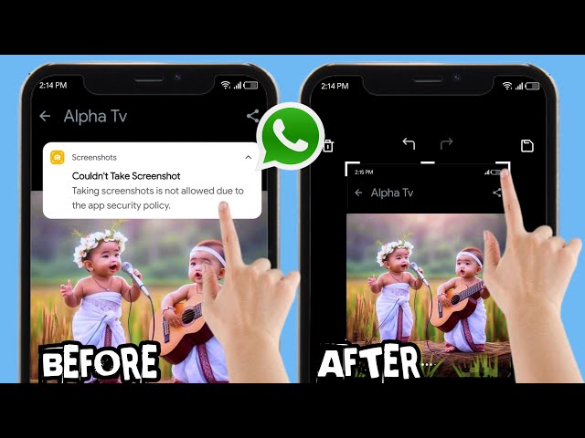 How to take a screenshot of WhatsApp dp 2024 | Can't take a screenshot of WhatsApp Profile Picture