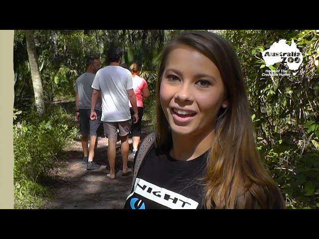 Irwin family on the look out for alligators | Irwin Family Adventures