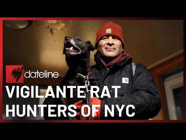 New Yorkers and their dogs on the front lines of the city's war on rats | SBS Dateline