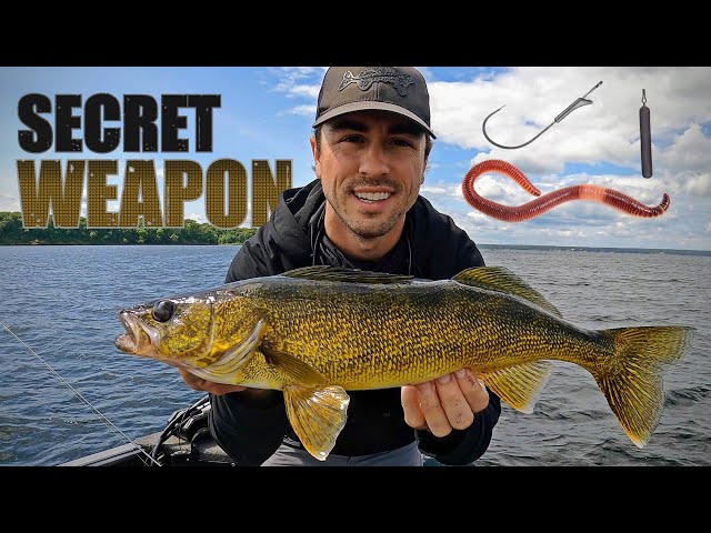 Dropshot Walleyes – The Ultimate Guide (SECRET WEAPON for Summer 'Eyes)