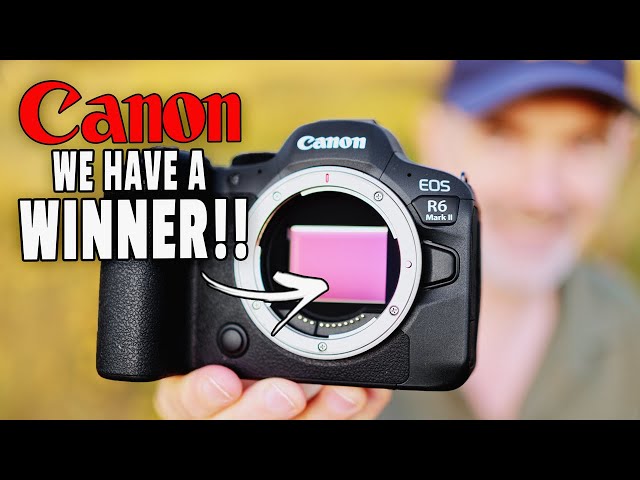 Canon R6 Mark II Review - Better In Every Way, Except For...