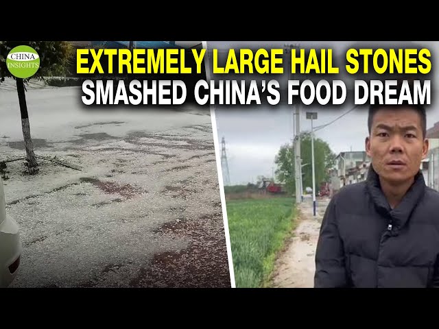 China's food safety is at risk as bad weather strikes frequently Hailstones cancel out efforts