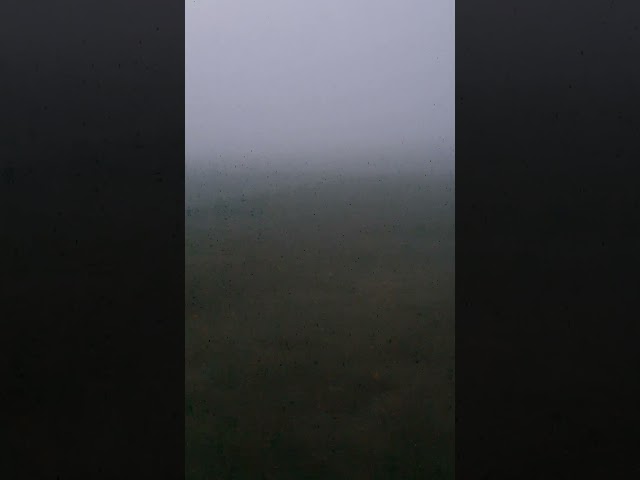 Dense Fog in Pennsylvania