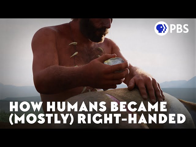 How Humans Became (Mostly) Right-Handed