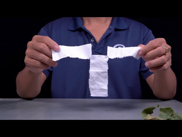 7 EASY SCIENCE EXPERIMENTS USING TOILET PAPER!