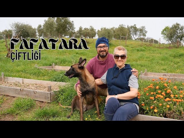 Two white collar workers choosing ECOLOGICAL life | “RETURN TO NATURE..!” (Fafatara Farm)