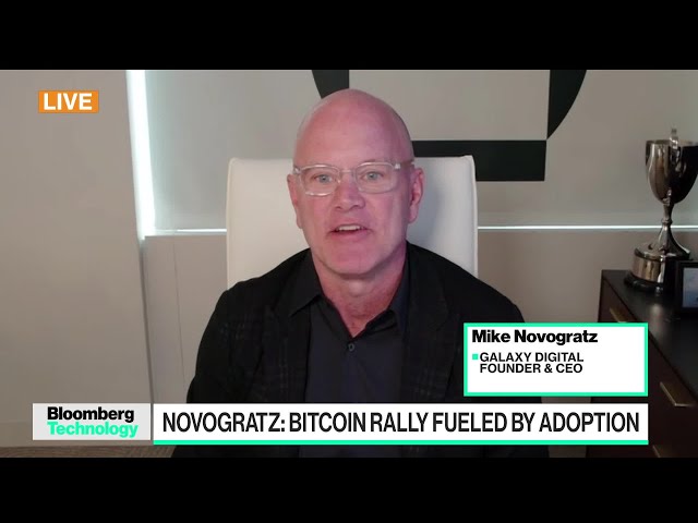 Novogratz Says Bitcoin Participation Is Just Starting