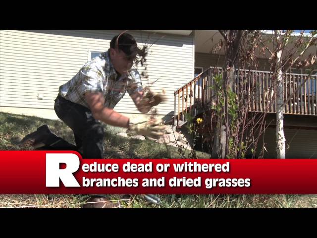 Fire Safety - Defensible Space Landscaping Tips