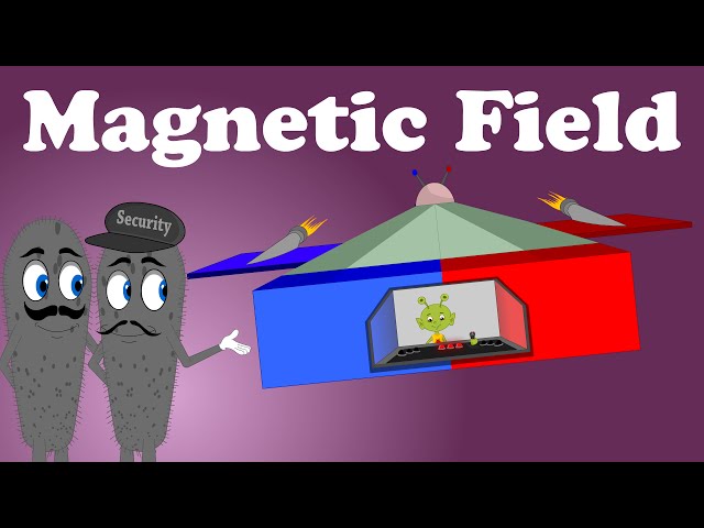Magnetic Field | #aumsum #kids #science #education #children