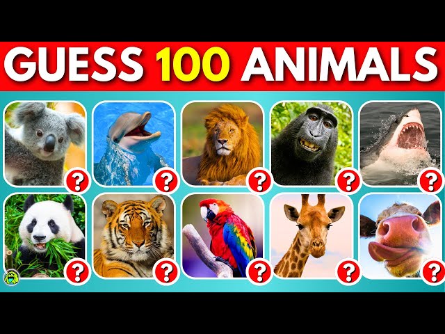 Guess 100 Animals In 3 Seconds | Easy, Medium, Hard, Impossible
