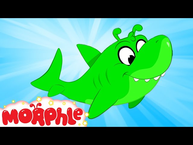 ORPHLE SHARK! - My Magic Pet Morphle | Magic Universe - Kids Cartoons