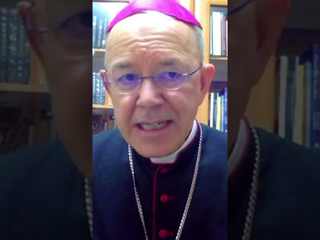 Pope Francis is Promoting De Facto Heresies - Bishop Schneider