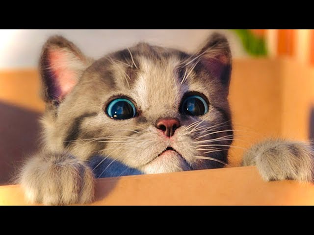 NEW LITTLE KITTEN ADVENTURE - LONG SPECIAL CARTOON FOR KIDS LEARNING AND PET CARE ANIMAL FRIENDS #57