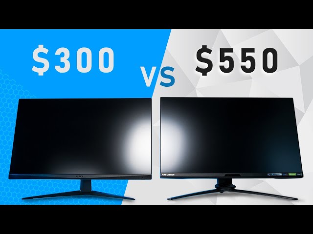 Cheap vs Expensive Monitor - Same Specs Different Price