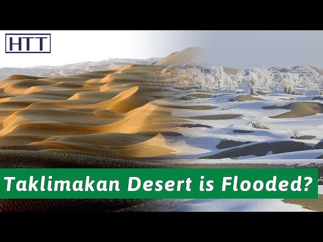 Many lakes appear in the Taklimakan Desert, a good opportunity for afforestation?