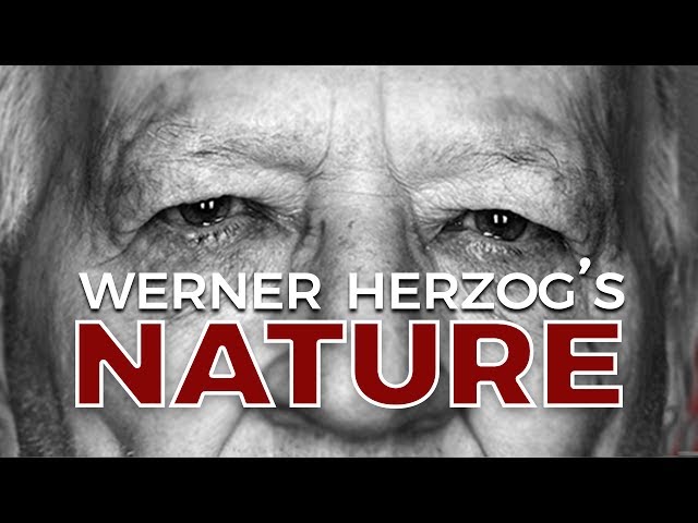 Grizzly Man: Werner Herzog's Vile Nature