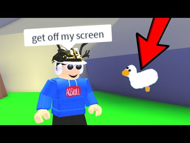 playing ROBLOX WITH a GOOSE ON MY SCREEN (roblox funny moments)