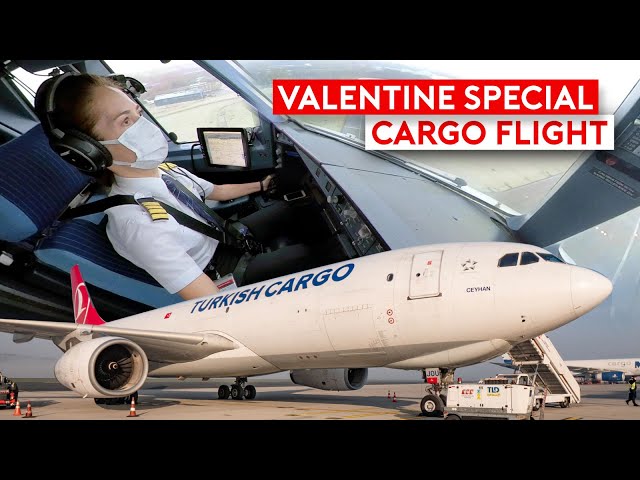 Valentine Cargo Flight on Turkish Cargo A330F