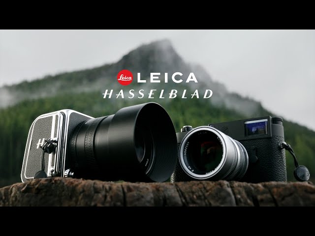 Hasselblad 907X vs Leica M11 | Battle of Luxury Cameras w/@davidherring