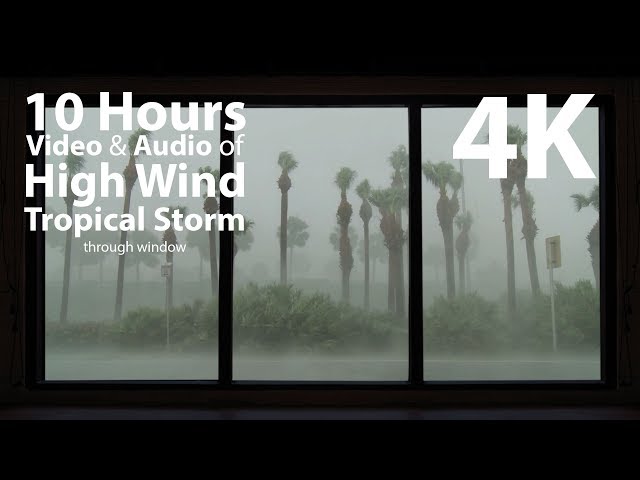 4K HDR 10 hours - High Wind Tropical Storm - relaxation, calming, ambient, mindfulness