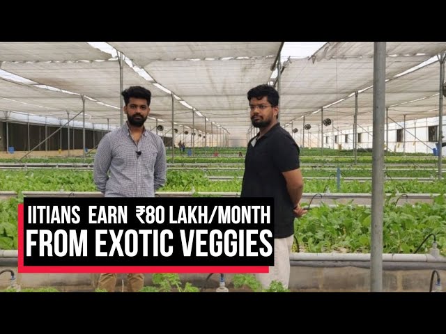 IIT Grads With Zero Farming Experience Earn Rs 80 Lakh/Month From Exotic Veggies | Cobrapost