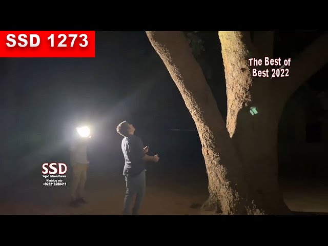 SSD 1274 | | Most haunted location of 2022. (Series) Part 11 |