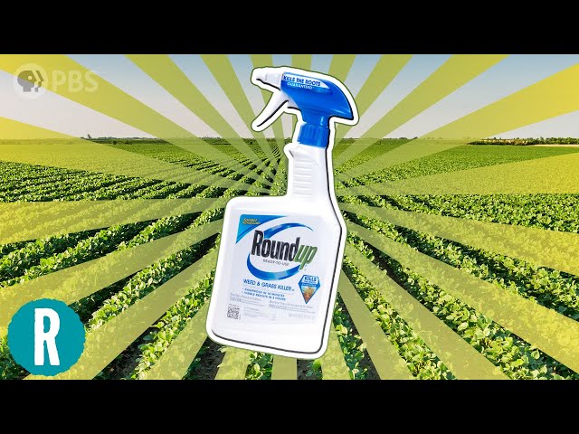 How Roundup Kills Weeds (And How Weeds are Fighting Back)