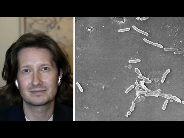 SALMONELLA OUTBREAK | Infectious disease doctor on symptoms and treatment