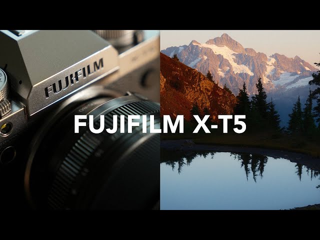 Why I Switched from Film to Fuji