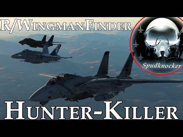 DCS: World | Hunter-Killer DEAD Ops! | F-14B Tomcats & F/A-18C Hornets Work Together to Kill SAMs!