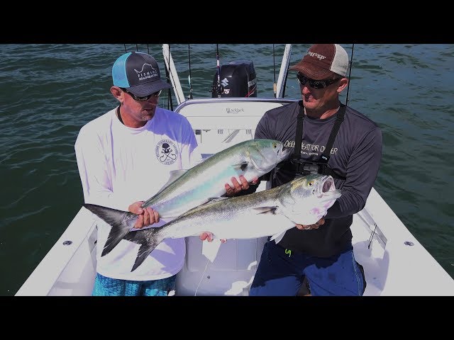 Absolute INSANE Bluefish {Catch Clean Cook} Brother on Brother Challenge!
