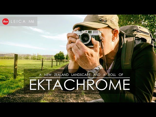 Ektachrome E100 | Leica M6 | And a New Zealand Landscape
