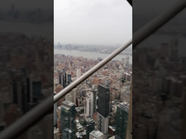 surviving new york, empire state building