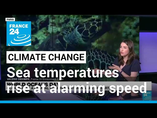 Climate change: Oceans warmer last month than any May on record • FRANCE 24 English