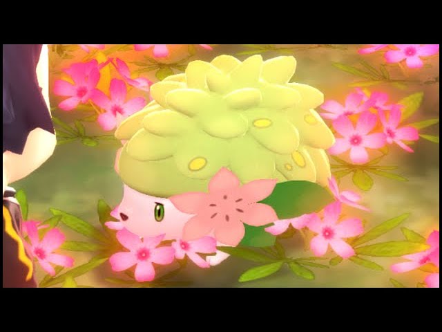 How To GET SHAYMIN with the SURF GLITCH in Pokemon Brilliant Diamond and Shining Pearl